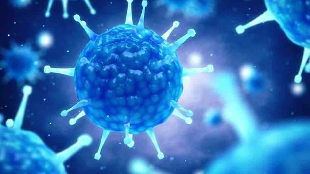 విలాస నౌకలో నోరో వైరస్‌ కలకలం