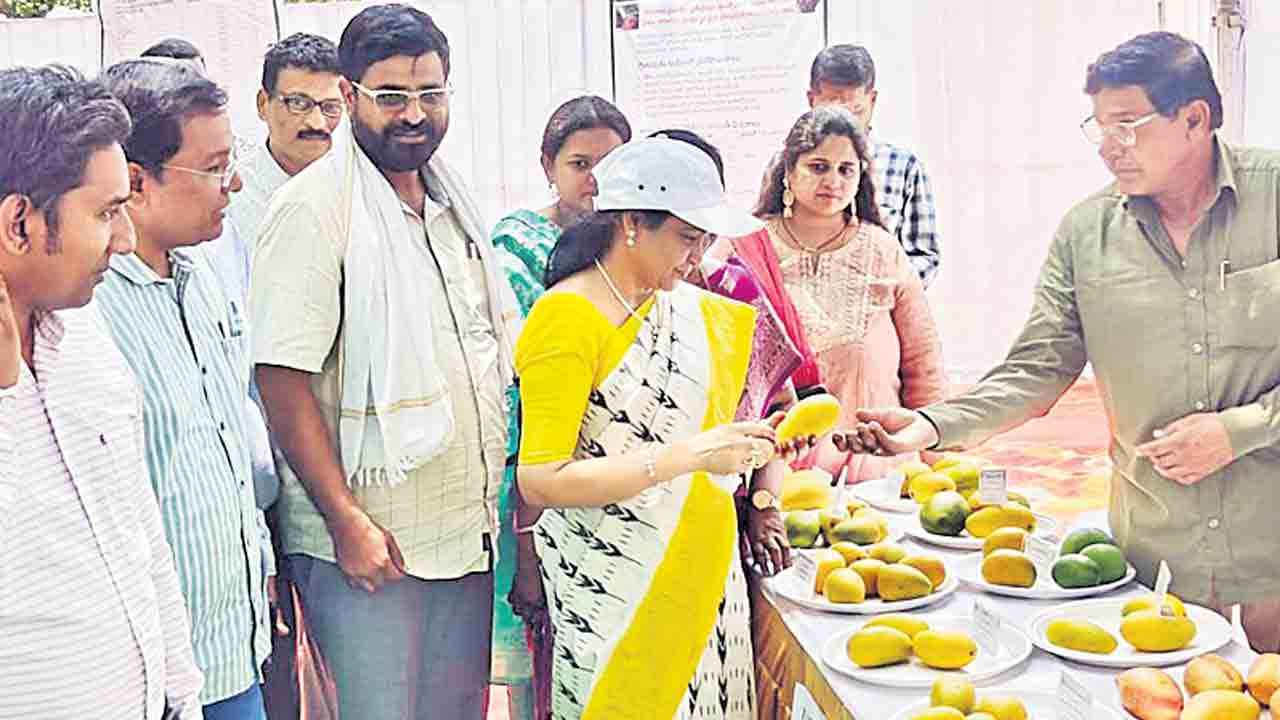 పండ్ల తోటల పెంపకానికి రైతులకు ప్రోత్సాహకాలు