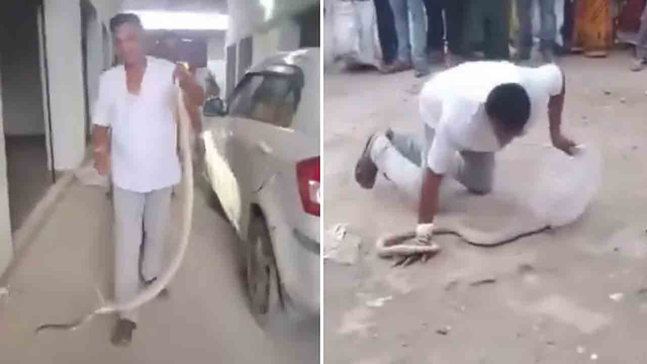 Watch: ఇంట్లో దూరిన పామును పట్టుకున్న వ్యక్తి.. తర్వాత ఏం జరిగిందంటే?