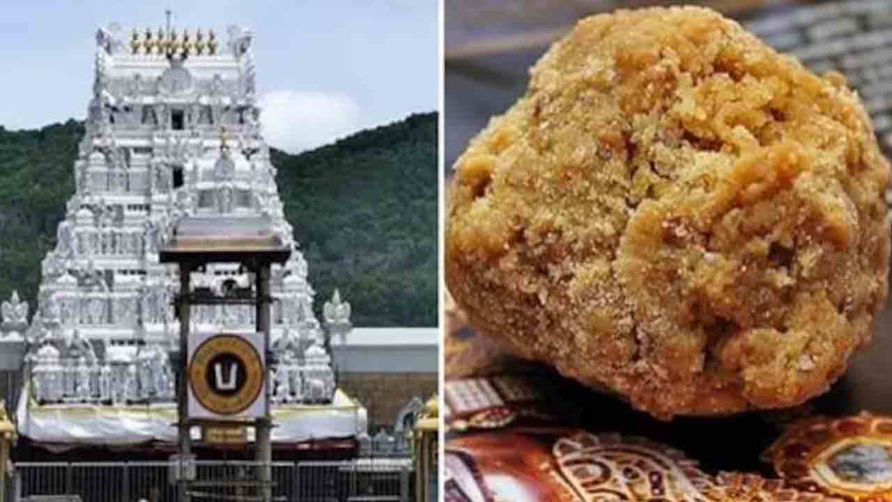 Tirumala | తిరుమలలో ఒక్క రోజే 4.22 లక్షల లడ్డూల విక్రయం