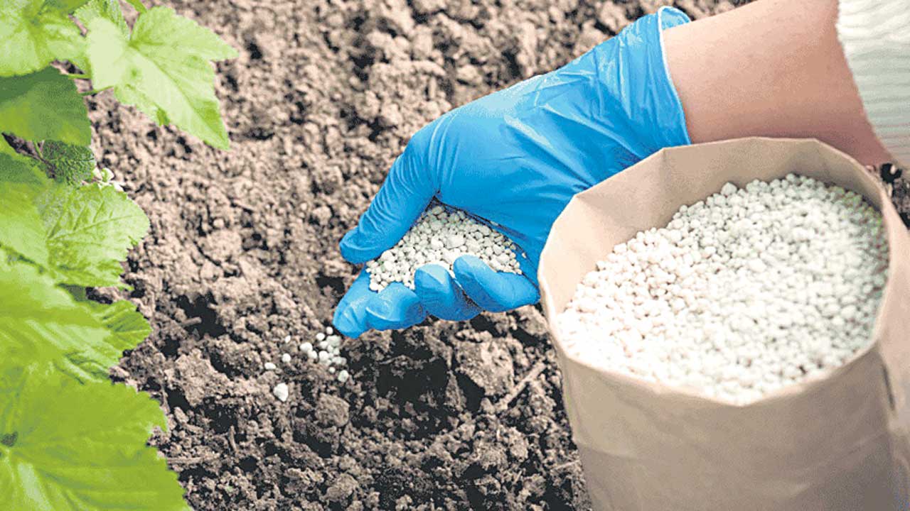 సంక్షోభంలో వ్యవసాయ రంగం