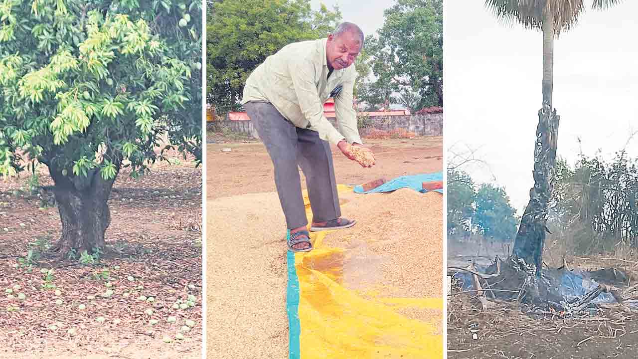 గాలివాన బీభత్సం