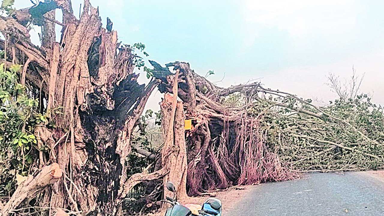 గాలివాన బీభత్సం..