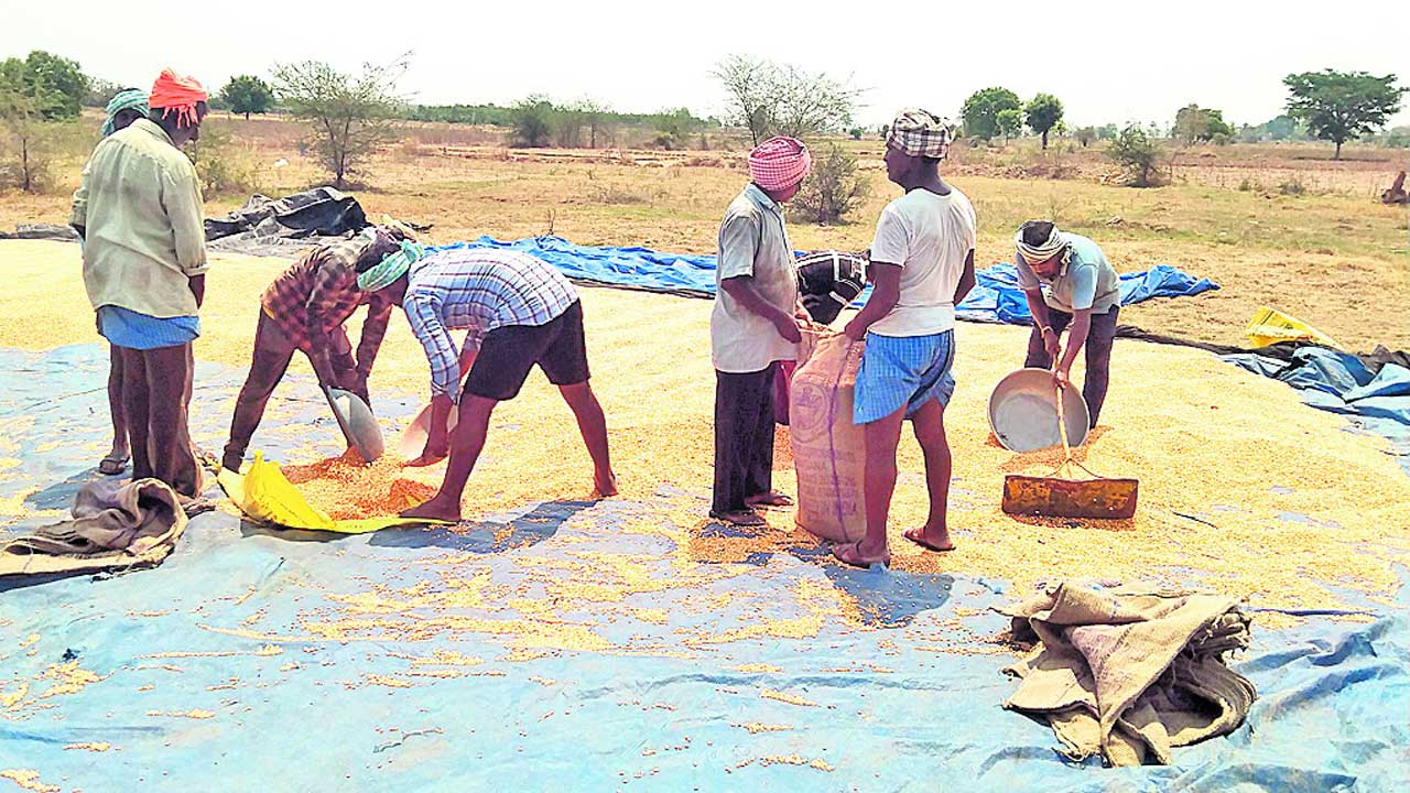 సహకార హస్తం