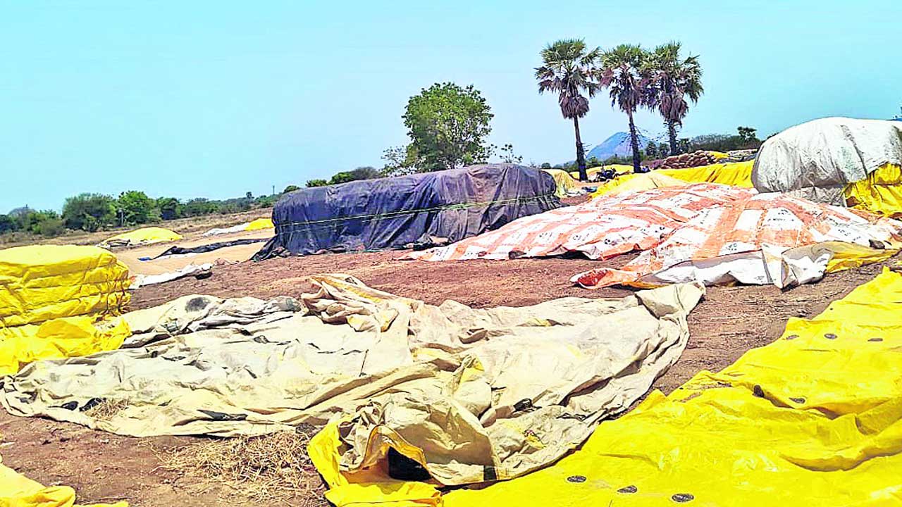 ధాన్యమో.. రామచంద్రా!