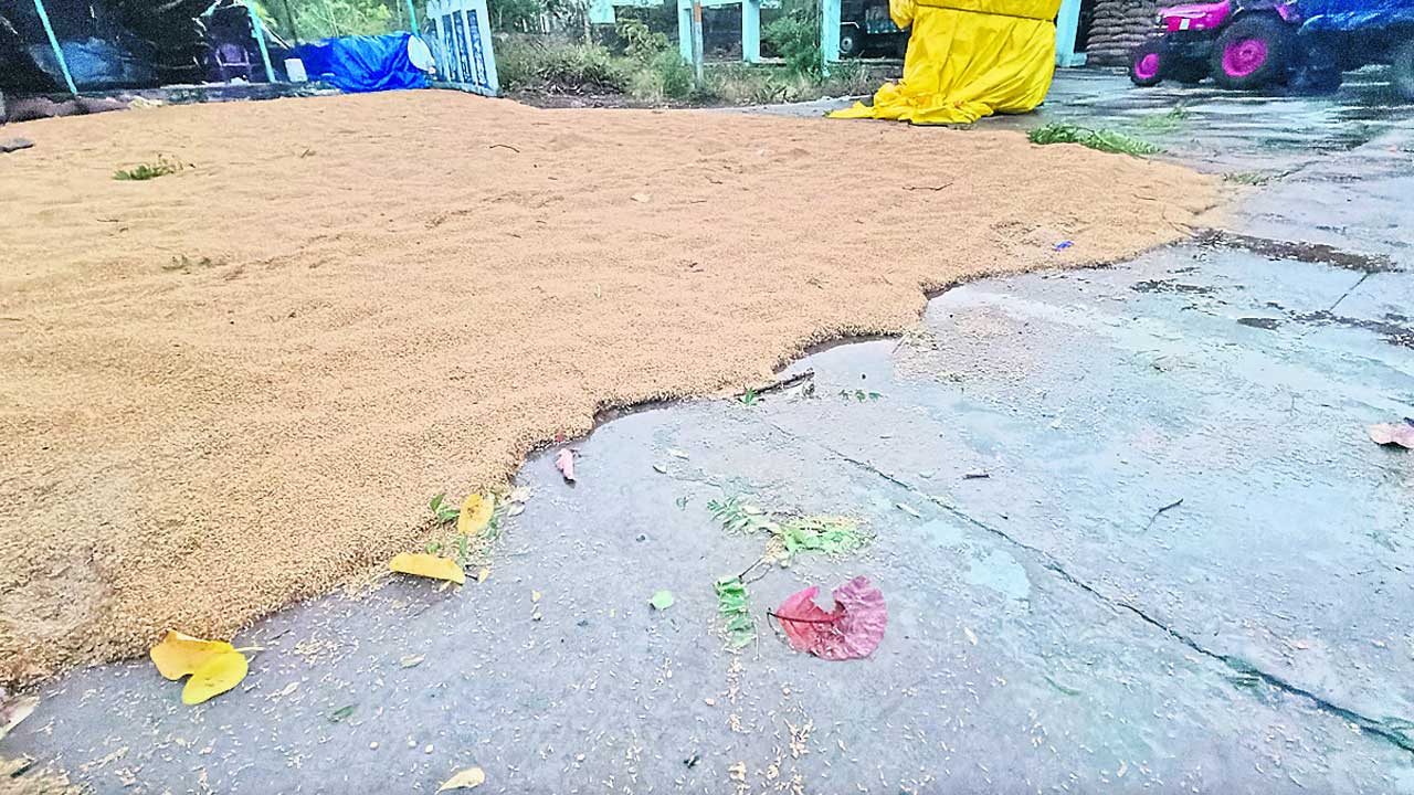 Warangal6