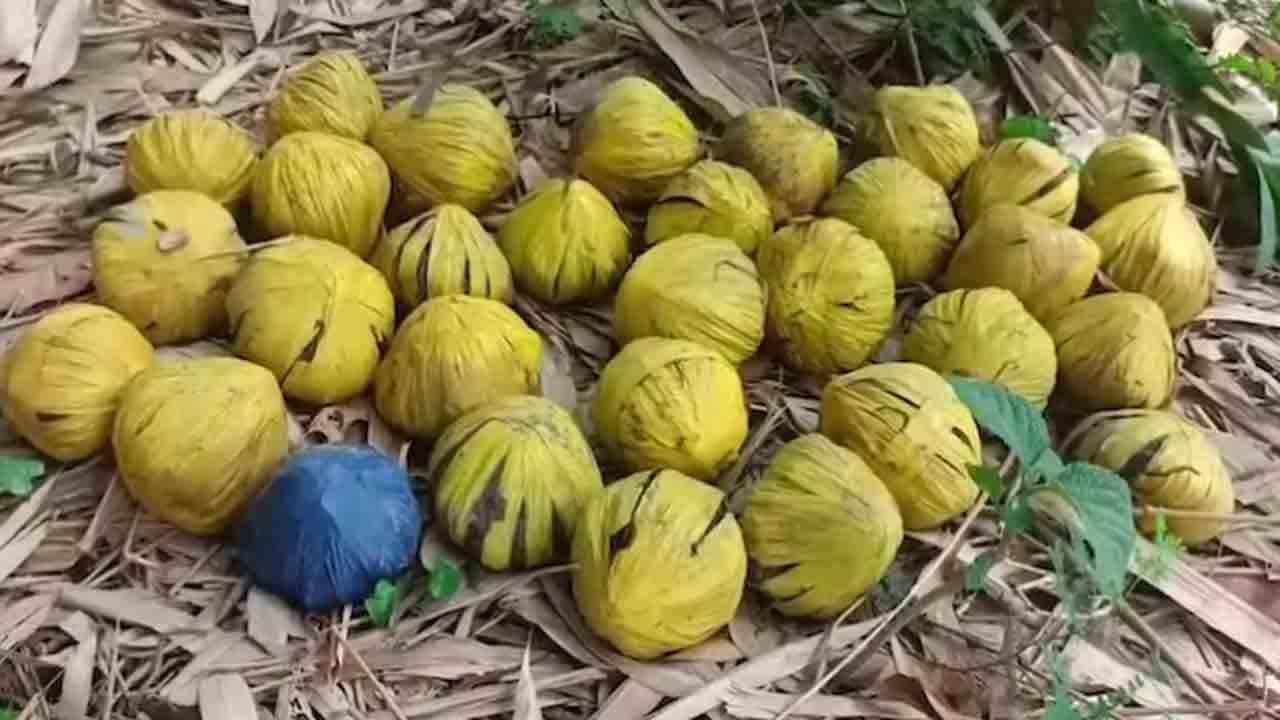 bombs found in Bengal | బెంగాల్‌లో భారీ సంఖ్యలో బాంబులు గుర్తింపు.. స్థానికుల్లో భయాందోళన