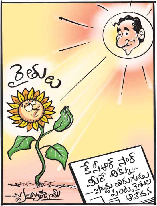 Cartoon 2 05 26
