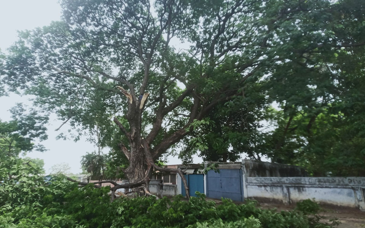 ధ‌న్బాద్‌లో గాలి దుమారం.. విద్యుత్ స‌ర‌ఫ‌రాకు తీవ్ర అంత‌రాయం