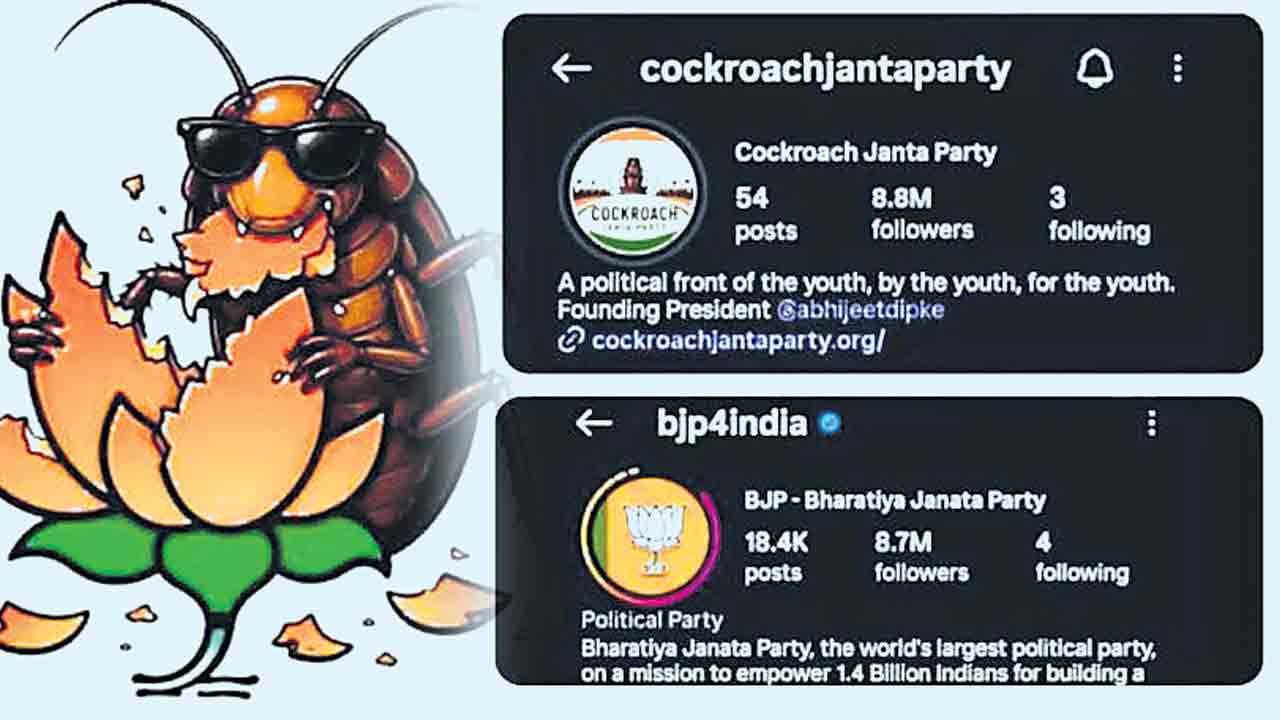 దేశంలో కాక్రోచ్‌ ప్రకంపనలు!