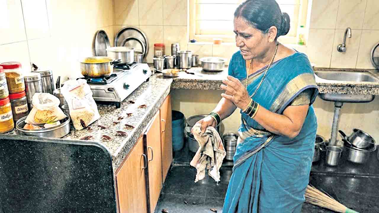 బొద్దింకలు పరార్‌