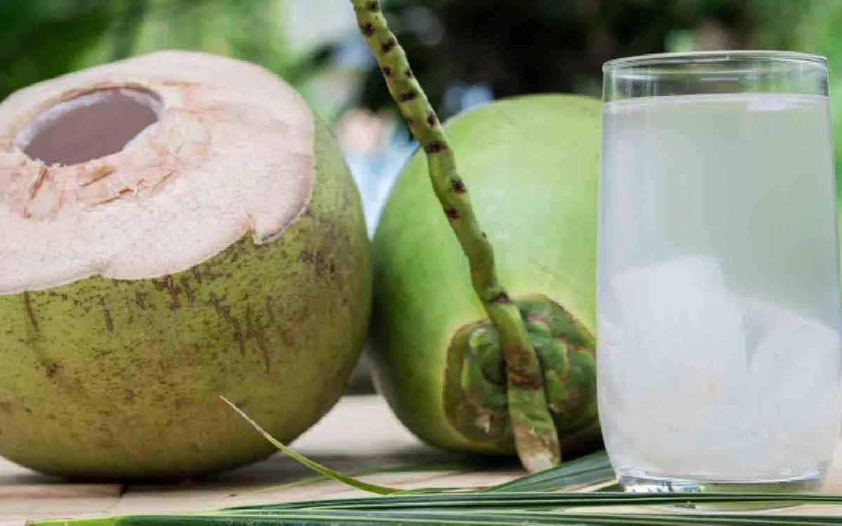 Coconut Water | వేస‌వి క‌దా అని కొబ్బ‌రినీళ్ల‌ను అధికంగా తాగుతున్నారా.. అయితే ఈ విష‌యాల‌ను త‌ప్ప‌నిస‌రిగా తెలుసుకోవాల్సిందే..