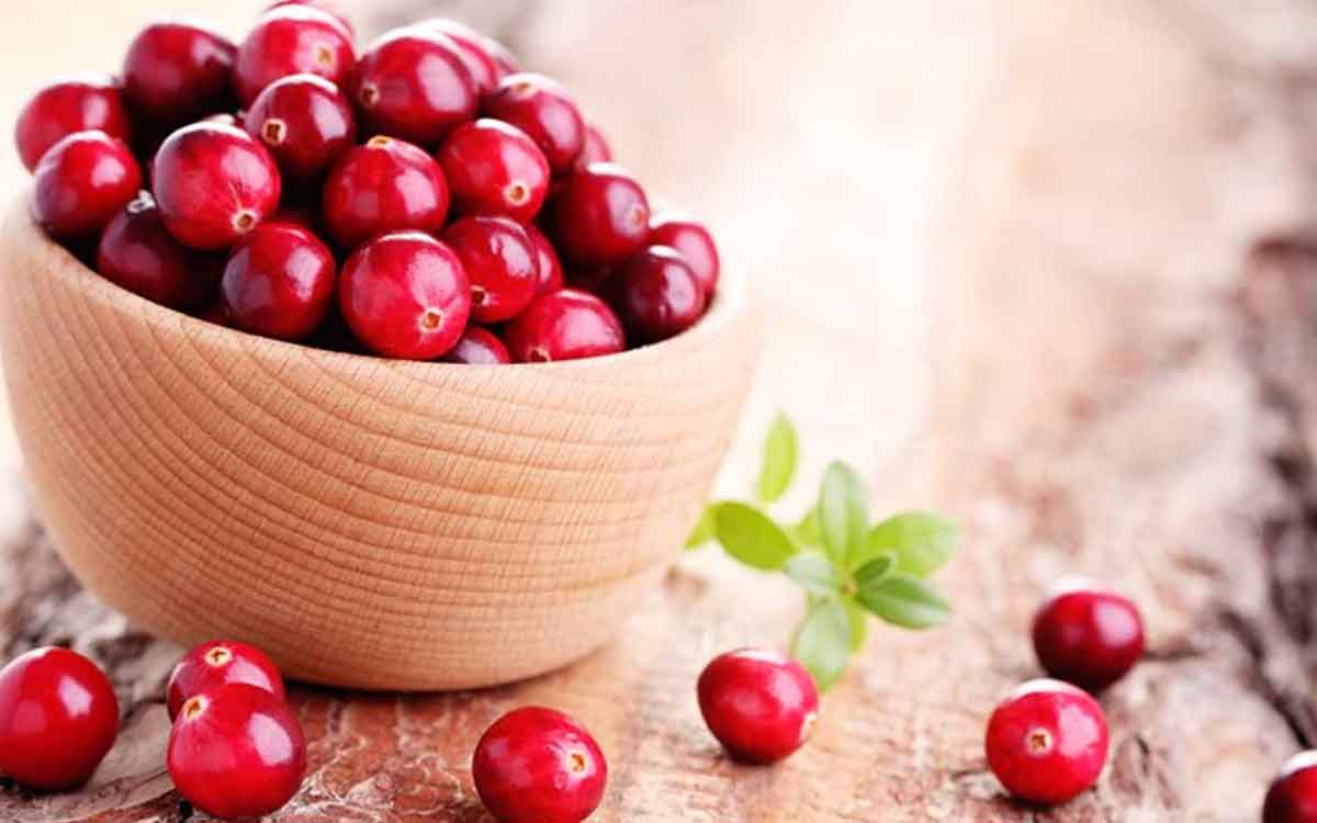 Cranberries | మూత్రాశ‌య స‌మ‌స్య‌ల‌ను తగ్గించే క్రాన్ బెర్రీలు.. ఆరోగ్యంగా ఉండాలంటే తీసుకోవాల్సిందే..