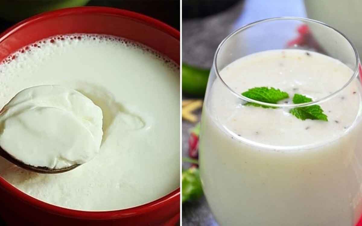 Curd And Buttermilk | వేస‌విలో పెరుగు, మ‌జ్జిగ‌ను తీసుకుంటున్నారా.. ఈ ముఖ్య‌మైన విష‌యాల‌ను తెలుసుకోవాల్సిందే..