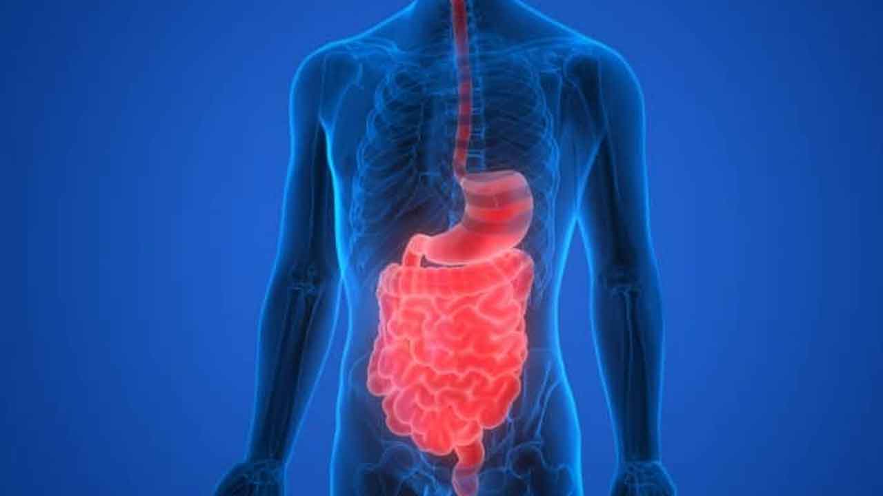 Digestive System | జీర్ఱ వ్య‌వ‌స్థ ఆరోగ్యంగా ఉండాలంటే తీసుకోవాల్సిన ఆహారాలు ఇవే.. వైద్య నిపుణులు ఏం చెబుతున్నారు..?