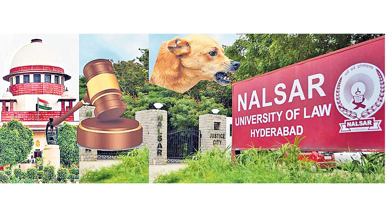 వర్సిటీ వీధి కుక్కల బాధ్యత నల్సార్‌దే