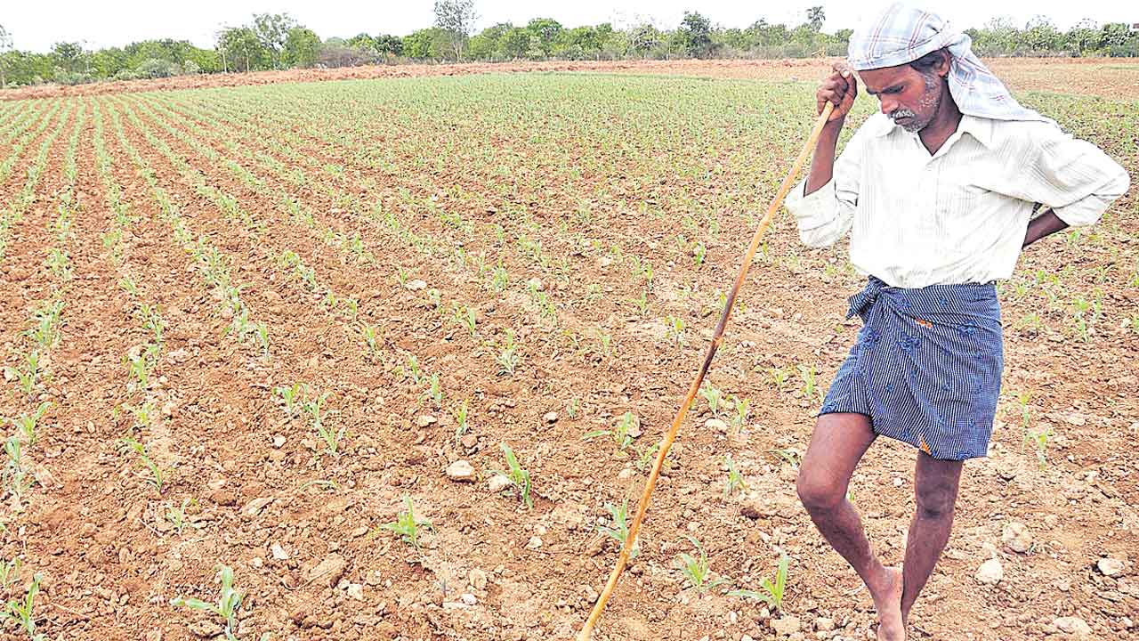 ద్రోహపు డిక్లరేషన్‌