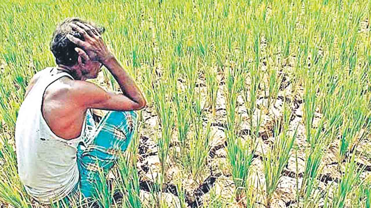 దిక్కులేని డిక్లరేషన్‌.. రైతన్న పరేషాన్‌!