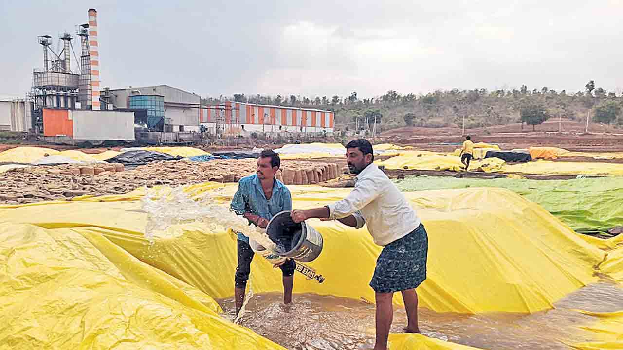 రైతుశ్రమ వర్షార్పణం.. పలు జిల్లాల్లో రైతన్న ఆగం