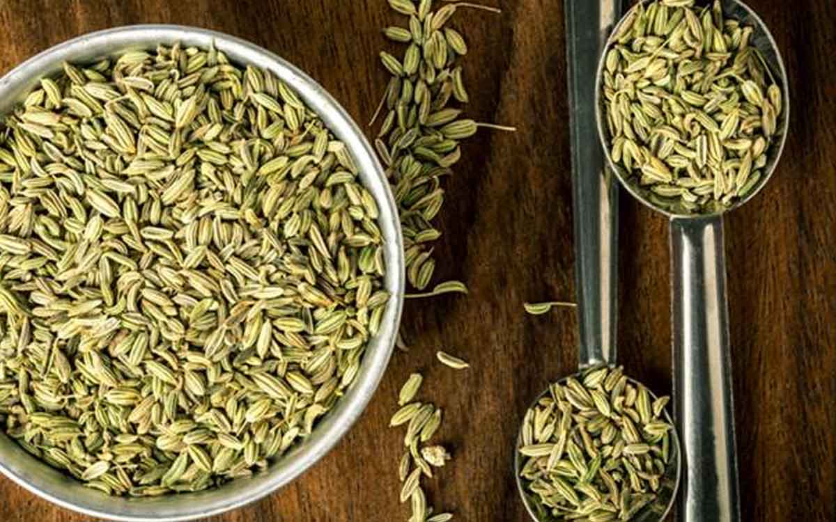 Fennel Seeds | సోంపు గింజ‌ల‌ను త‌క్కువ‌గా అంచ‌నా వేయ‌వ‌ద్దు.. భోజ‌నం చేశాక తినండి.. ఎందుకంటే..