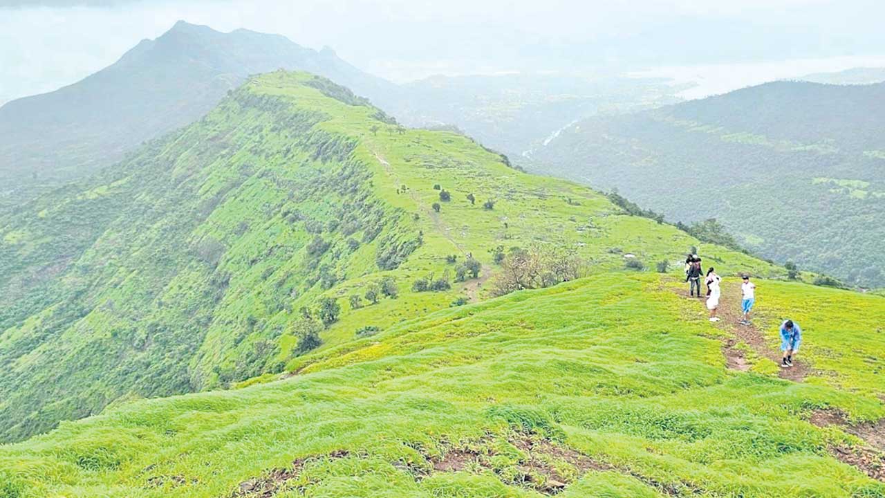 38 పాయింట్లు 360 డిగ్రీలు