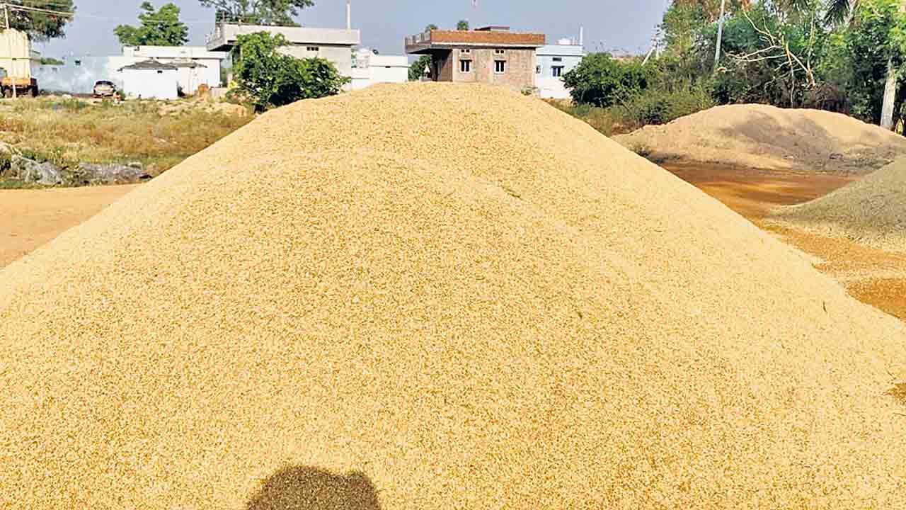 Grain
