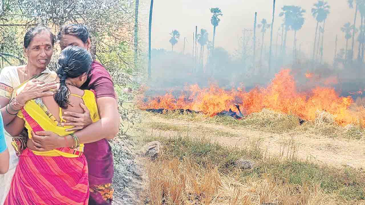 కొయ్యకాలు.. వరికొయ్యల కాల్చివేతతో పెరుగుతున్న ప్రమాదాలు