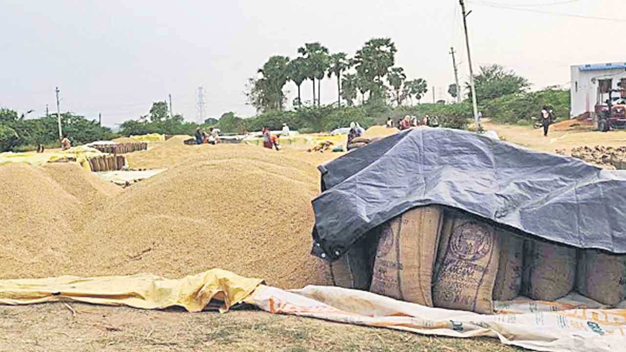 ఎక్కడి ధాన్యం అక్కడే..