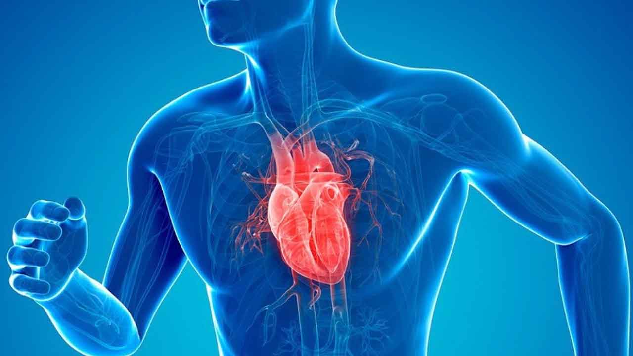 Heart Diseases | గుండె జ‌బ్బుల ప్ర‌మాదం త‌గ్గించాలంటే.. ఈ చిన్న మార్పులు చేసుకుంటే చాలు..