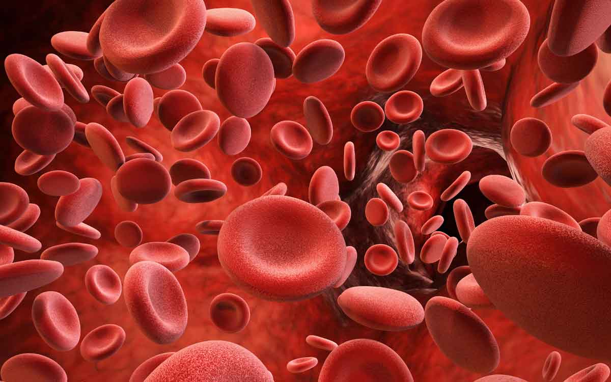 Hemophilia | హీమోఫీలియా అంటే ఏమిటి.. ఎవ‌రికి వ‌స్తుంది.. ఎలాంటి చికిత్స‌లు చేస్తారు..?