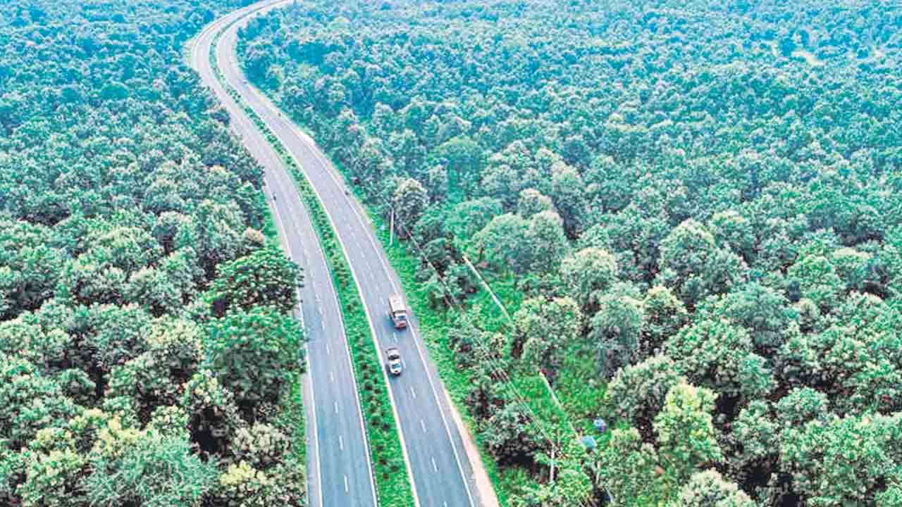 ఆదిలాబాద్‌ ఎదను చీల్చే కుతంత్రం