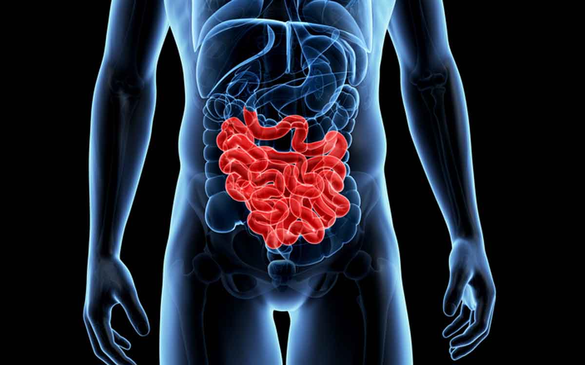 Intestines Health | రోజూ మీరు చేసే ఈ చిన్న త‌ప్పులే పేగుల ఆరోగ్యాన్ని క్షీణించేలా చేస్తాయి.. జాగ్ర‌త్త‌లు త‌ప్ప‌నిస‌రి..