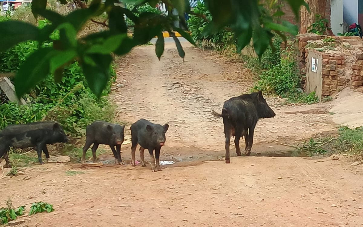 కారేప‌ల్లిలో వృథాగా పోతున్న‌ మిషన్ భగీరథ నీళ్లు
