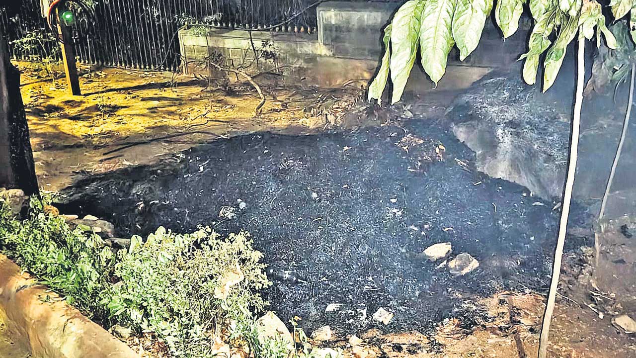 కేబీఆర్‌ పార్కు వద్ద అగ్ని ప్రమాదం