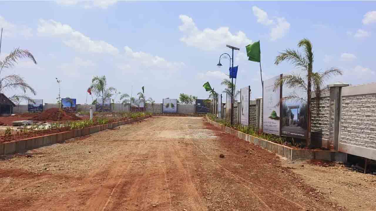 Land