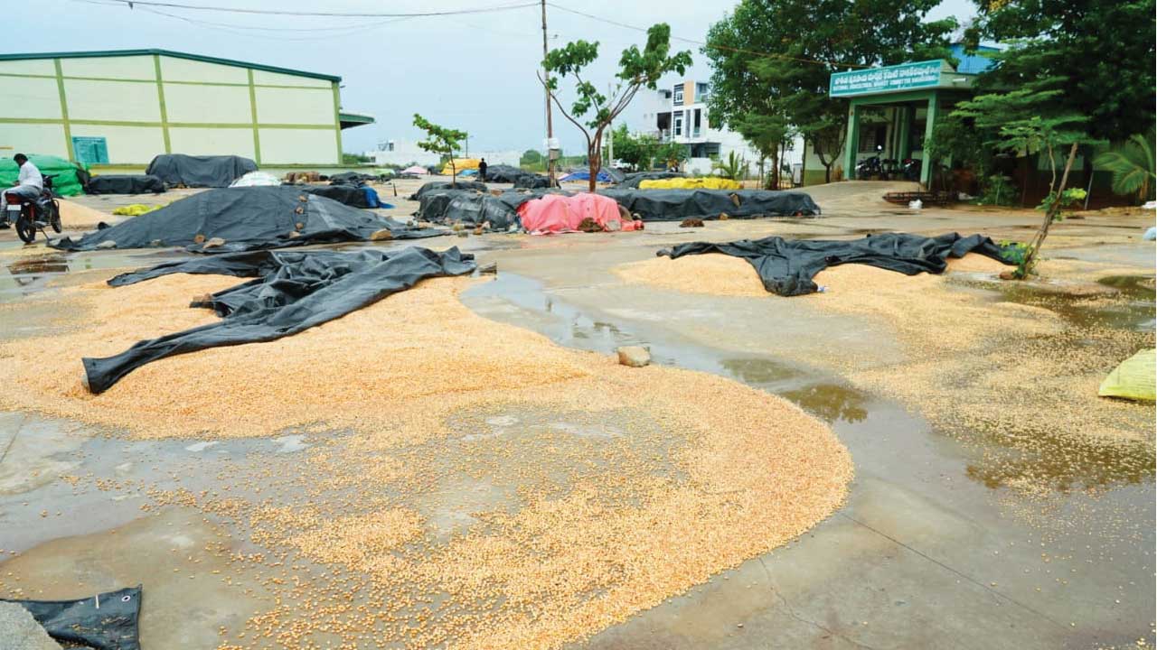 రైతు కష్టం వరదపాలు
