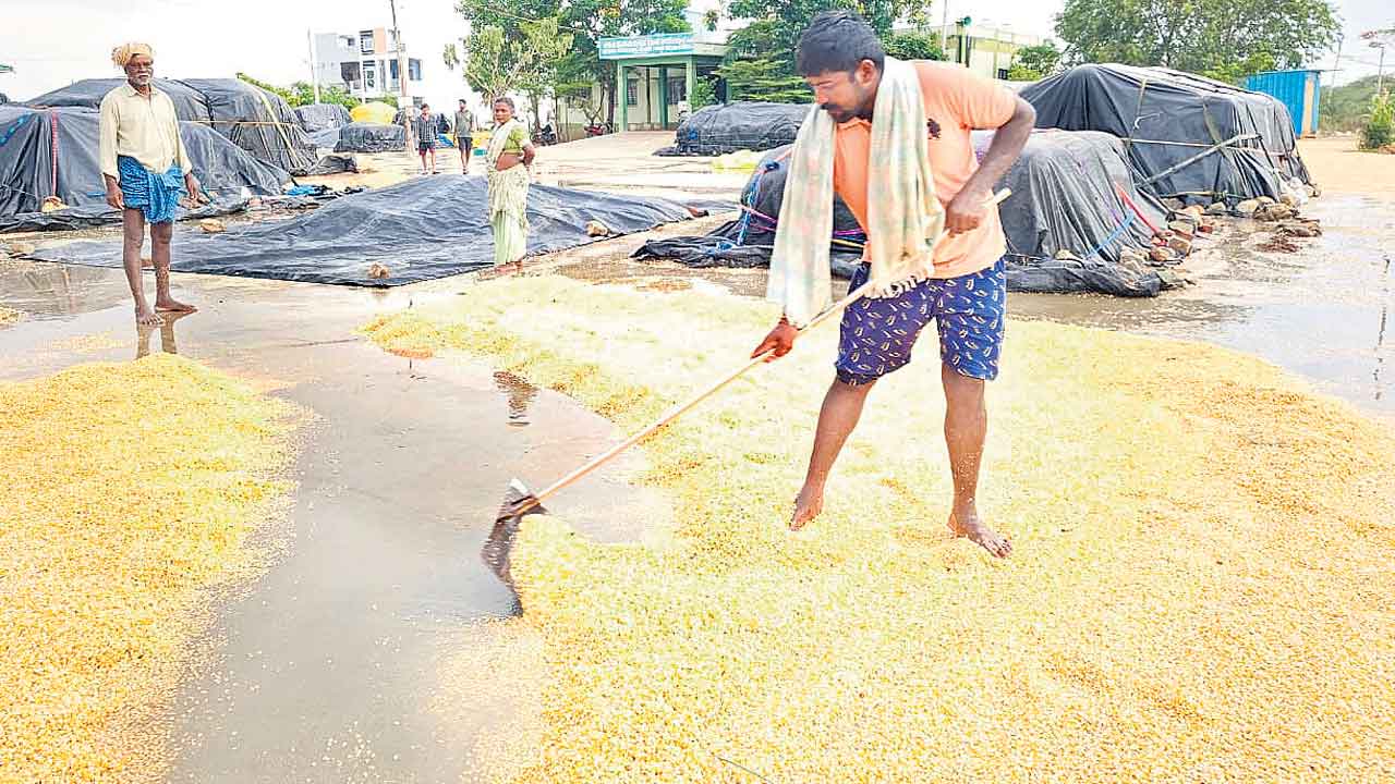 అయ్యో పాపం.. రైతన్న