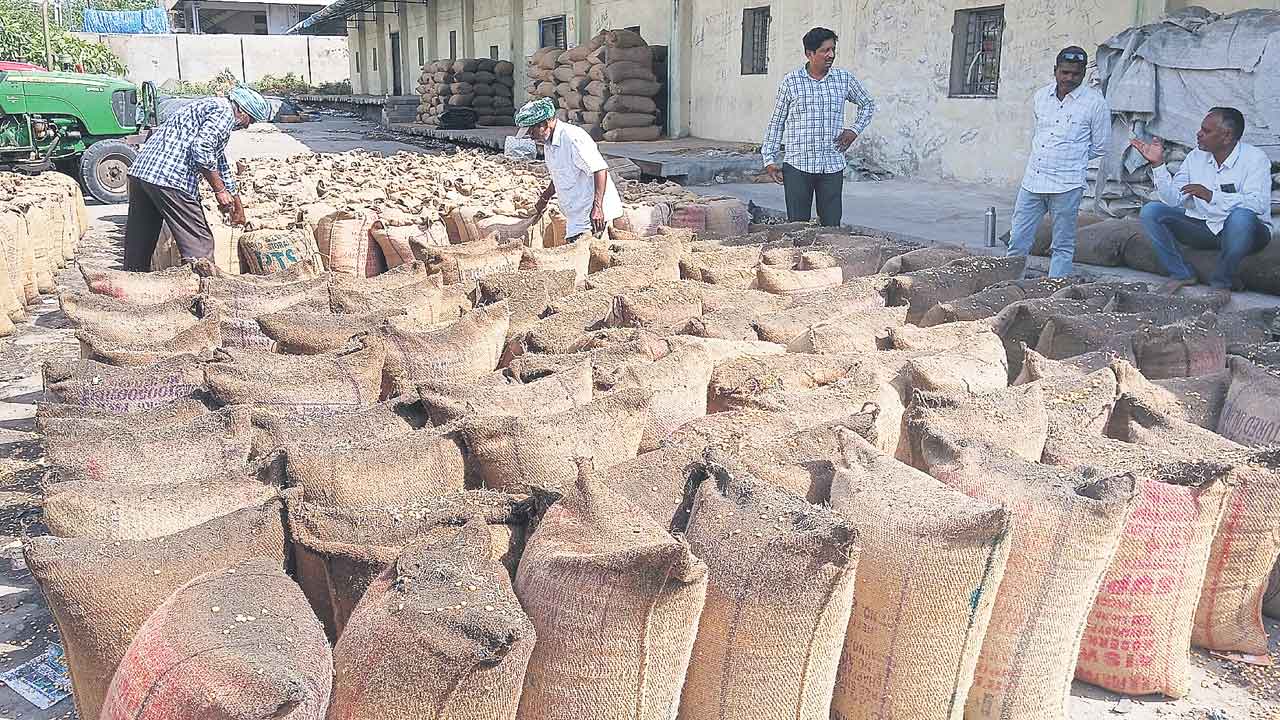 మక్క రైతుకు పరీక్ష..!
