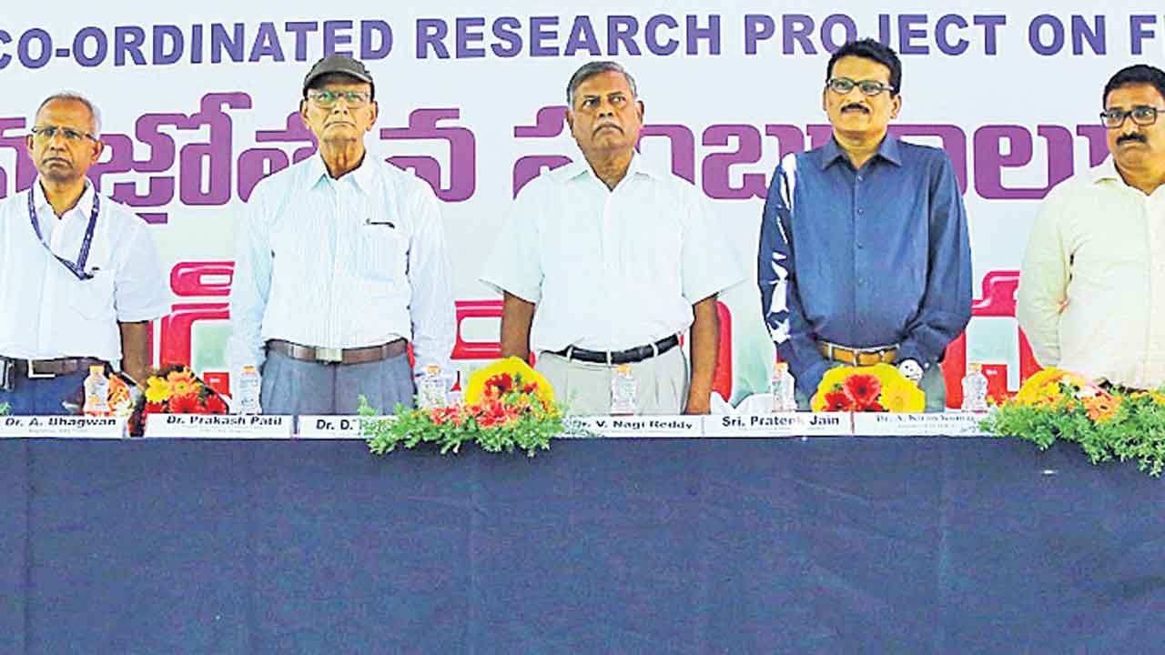 అధిక దిగుబడినిచ్చే రకాలు సాగు చేయాలి