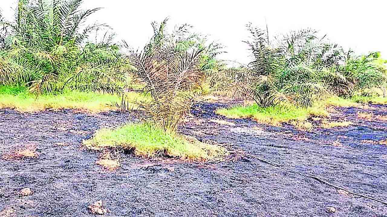 మంటల్లో రెక్కల కష్టం!