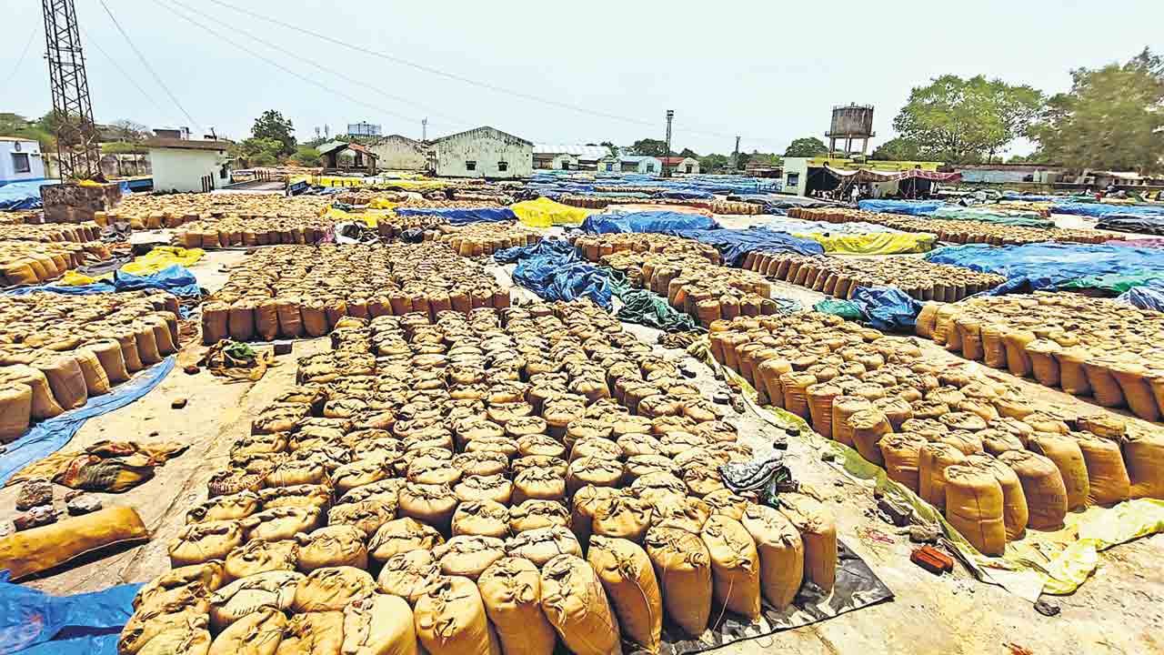 చెంపలేసుకొని పంటను కొనండి!