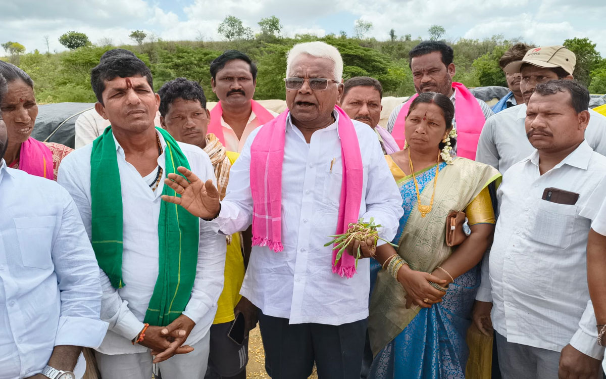 ‘తడిసిన మొక్కజొన్నను షరతులు లేకుండా కొనుగోలు చేయాలి’