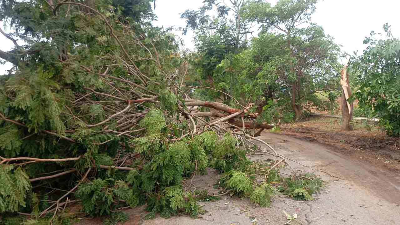 Rayapol | రాయపోల్ మండలంలో గాలివాన బీభత్సం.. పత్తాలేని అధికారులు