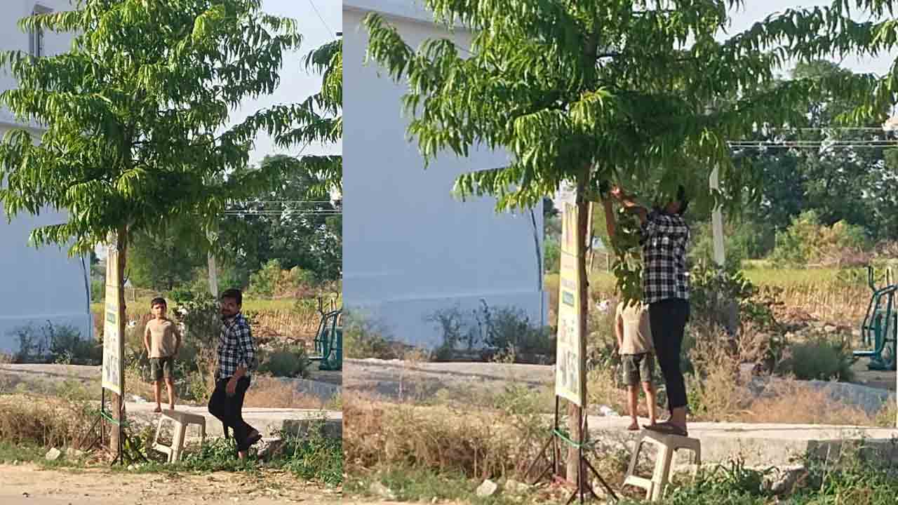 Rayaploe | హరితహారం చెట్లపై కత్తి.. షాపు యజమానిపై స్థానికుల ఆగ్రహం..!