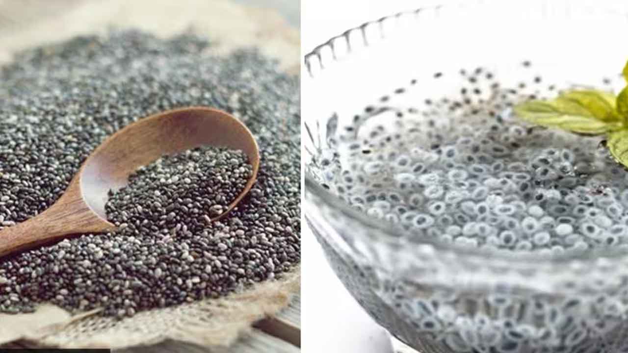 Sabja Vs Chia Seeds | బ‌రువు త‌గ్గించ‌డంలో స‌బ్జా గింజ‌లు లేదా చియా విత్త‌నాలు.. ఏవి ఎక్కువ మేలు చేస్తాయి..?