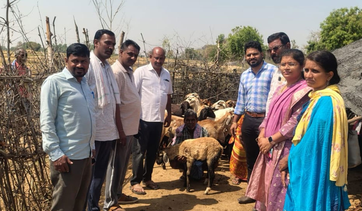 Dog Attack | రంగపేటలో కుక్కల దాడిలో 15 గొర్లు మృతి.. ఘటనాస్థలిని పరిశీలించిన డాక్టర్లు, ప్రజాప్రతినిధులు
