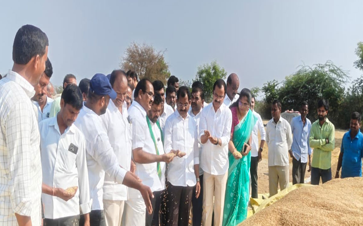 రైతు పండిస్తే.. లాభం మిల్లర్లకేనా? : మాజీ ఎమ్మెల్యే పైళ్ల‌ శేఖర్‌రెడ్డి