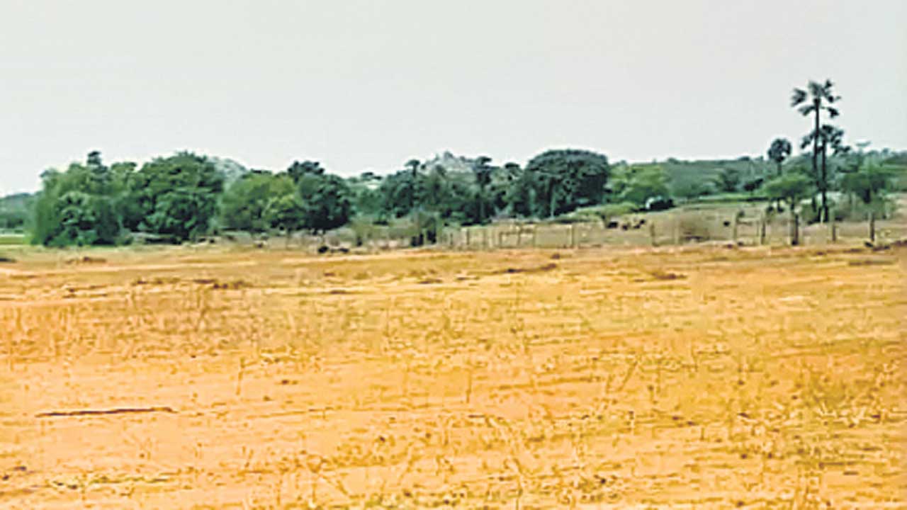 భూముల వేలం