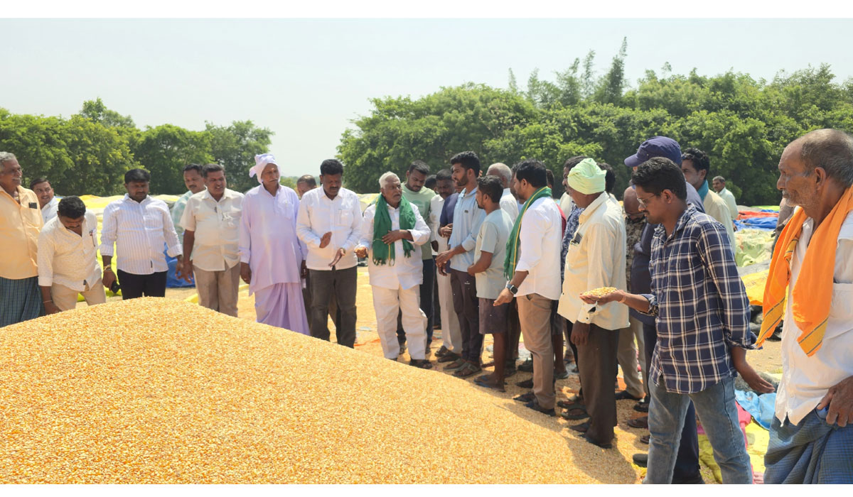 T Jeevan Reddy | ధాన్యం కొనుగోలు లో వేగం పెంచాలి.. బీఆర్ఎస్ రాష్ట్ర ప్రధాన కార్యదర్శి జీవన్ రెడ్డి