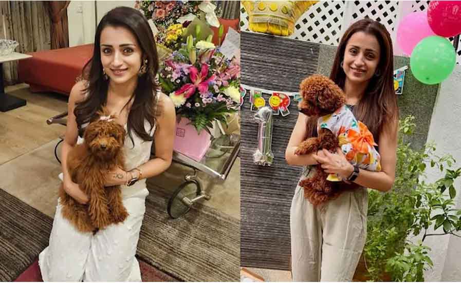 మట్టి రంగుల మేడలో త్రిష